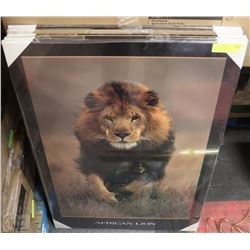 LOT OF 6 LAMINATED PICTURES INCL.  GUNS'N'ROSES,