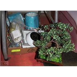 FLAT WITH LIGHT UP BONSAI TREE AND SCENSTY WARMER,