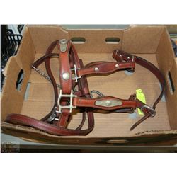 PREMIUM WESTERN LEATHER SHOWHORSE HALTER