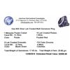 Image 3 : 12.25ct Purple Crystal and Multi Gemstone Ring - 925 SILVER