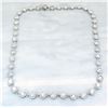 Image 2 : Julius Cohen 11.00ctw Diamond Necklace - Platinum
