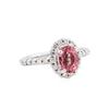 Image 1 : 14KT White Gold 1.70ct Pink Tourmaline and Diamond Ring