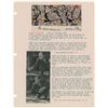 Image 2 : Jackson Pollock