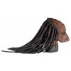 Image 5 : Predator