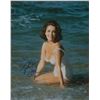 Image 1 : Elizabeth Taylor Signed Photograph
