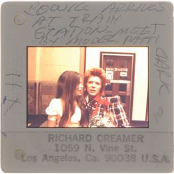 David Bowie Pair of Slides