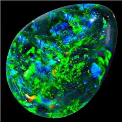 Natural Harlequin Black Opal 6.10 carats