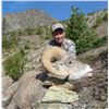 Image 1 : 12 day 3/4 Curl Cal. Bighorn Sheep Hunt