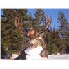 Image 3 : 7 Day Mule Deer Rut Hunt for 2 Hunter
