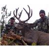 Image 2 : 7 Day Mule Deer Alpine Hunt for 2 Hunter