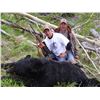 Image 3 : 7 Day Spring Black Bear Hunt for 2 Hunter
