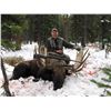 Image 2 : 7 Day Canadian Moose Hunt