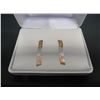 Image 1 : Sterling Silver Tri-Coloured Earrings
