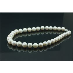Sterling Silver Freshwater Pearl Necklace CRV $434