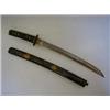 Image 1 : A JAPANESE TANTO, single edged plain blade, steel tsuba decorated in relief with vine leaves, hel...