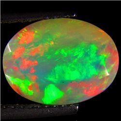 Natural Harliquin Welo Opal 2.61 Carats
