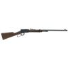 Image 1 : Henry H001TSPR Frontier Lever 22 Short/Long/Long Rifle 20" 16 LR/21 Short American Walnut Stk Blued