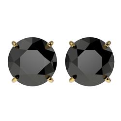 Genuine 3.0 CTW Fancy Black Genuine Diamond Bridal Solitaire Stud Earrings Gold - 33125-REF#71V2F