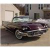 Image 1 : 1960 FORD THUNDERBIRD