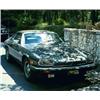 Image 1 : 1988 JAGUAR XJS