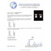 Image 3 : 1.09ctw Diamond Solitaire Earrings - 14KT White Gold