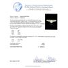 Image 3 : 14KT White Gold 0.54ctw Diamond Ring