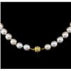 Image 2 : South Sea Cultured Pearl Necklace - 14KT Yellow Gold