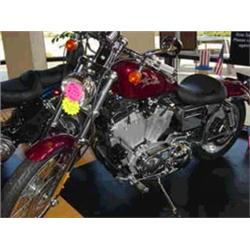 2002 HARLEY-DAVIDSON XL 885 CUSTOM