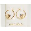 Image 1 : #41-10KT GOLD 'DOLPHIN' CZ EARRINGS