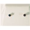 Image 1 : #1-10K GOLD BLUE DIAMOND(0.21CT) EARRINGS
