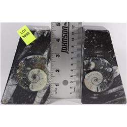 AMMONITE FOSSIL BOOKENDS