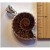 Image 1 : NATURAL AMMOLITE FOSSIL PENDANT