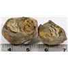 Image 1 : KEOKUK GEODE "SISTER HALVES"