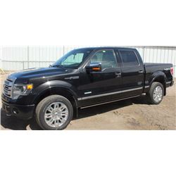 2013 FORD F-150 PLATINUM
