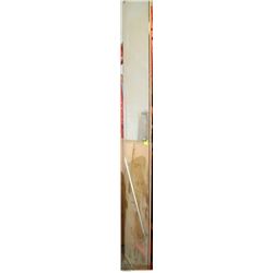 LARGE MIRROR - 2' X 9'