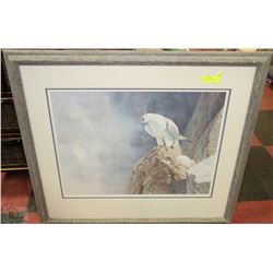 "SILENT WITNESS - GYRFALCON FALCO RUSTICOLUS" BY