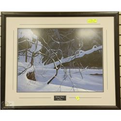 "TWILIGHT TIMBER" BY ROD TRIBIGER FRAMED & TRIPLE