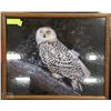 Image 1 : FRAMED OWL PICTURE