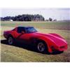 Image 1 : 1981 CHEVROLET CORVETTE
