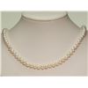 Image 1 : #12-FRESHWATER PEARL NECKLACE WITH  STERLING