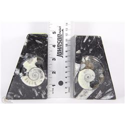 AMMONITE FOSSIL BOOKENDS FROM CRETACEOUS PERIOD