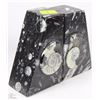 Image 4 : AMMONITE FOSSIL BOOKENDS FROM CRETACEOUS PERIOD