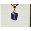 Image 1 : #46-14K YELLOW GOLD SAPPHIRE (3.30CT) PENDANT