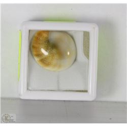 TRP42 NATURAL SHIVA EYE  27.00 CTS ROUND GEMSTONE