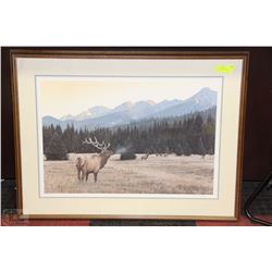 LE PRINT "AUTUMN MEADOW ELK" BY RON PARKER