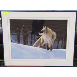 LIMITED EDITION PRINT OF "FOX" BY ROD TRIBIGER
