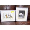 Image 1 : 2-SUE COLMAN PICTURES FRAMED