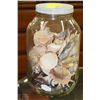 Image 1 : SEASHELL COLLECTION