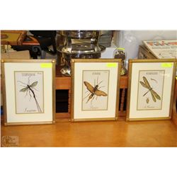 LOT OF 3 FRAMED GERMAN LITHOGRAPHS OF INSECTS