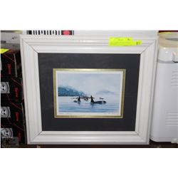 "ORCA FAMILY" BY W.MCMURRAY 15.5" X 13.5"